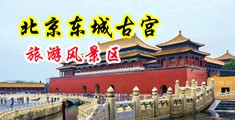 大鸡巴操小逼里视频中国北京-东城古宫旅游风景区